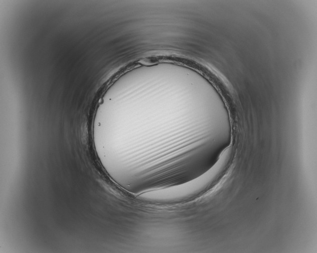 X0000111630969200908071408