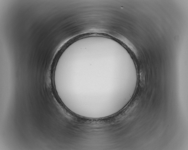 X0000111630972200908071408