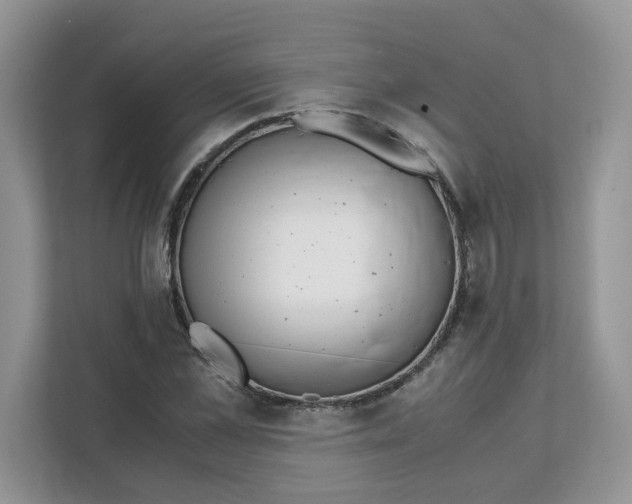 X0000111630973200908071408