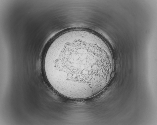 X0000111630975200908071408