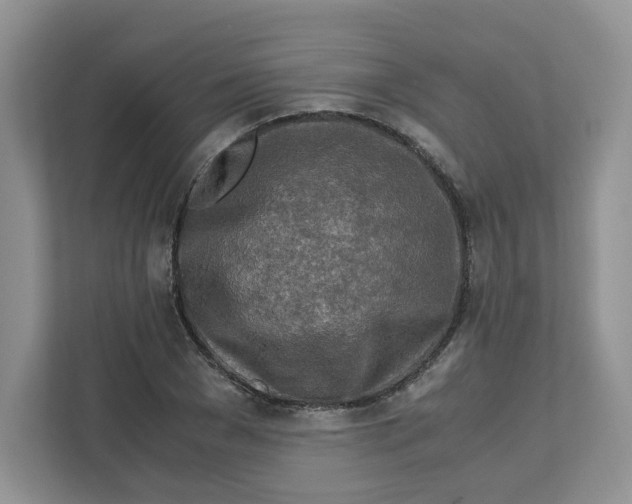 X0000111630977200908071408