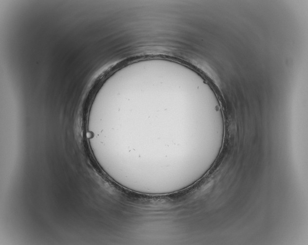 X0000111630979200908071408