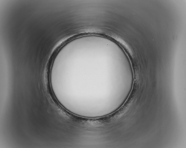 X0000111630983200908071408