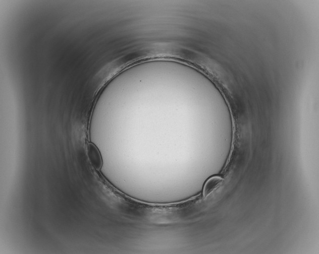 X0000111630985200908071408