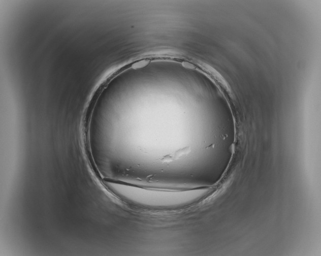 X0000111630989200908071408