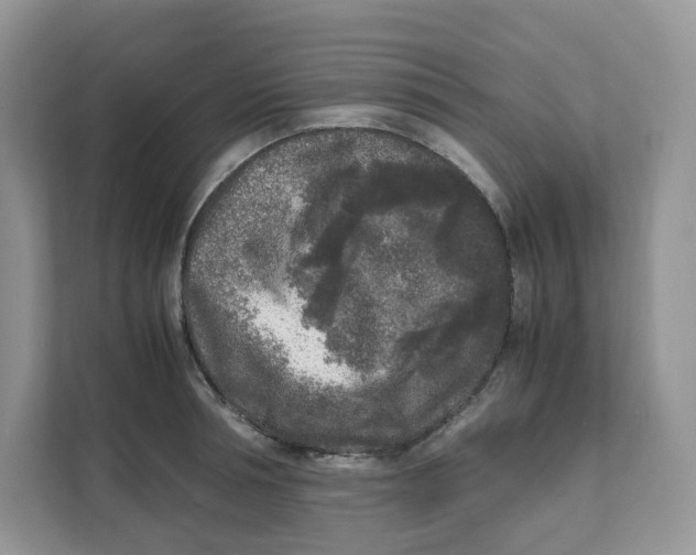 X0000111630994200908071408