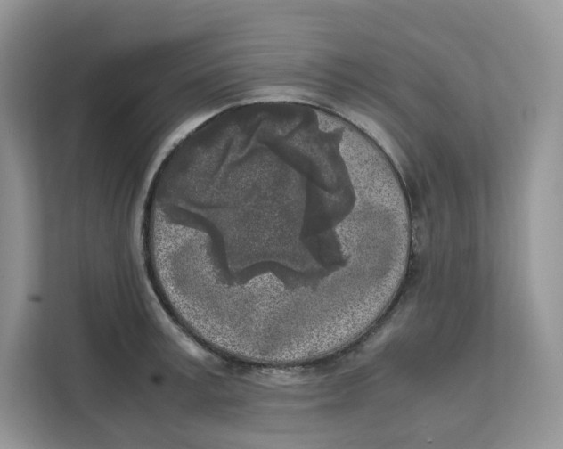 X0000111630995200908071408