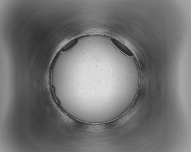 X0000111630997200908071407