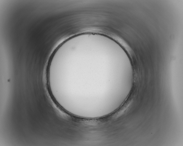 X0000111630999200908071407