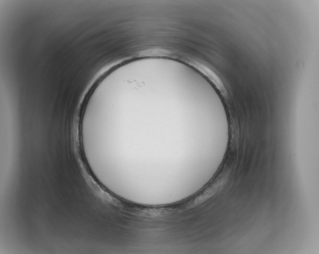 X0000111631000200908071407