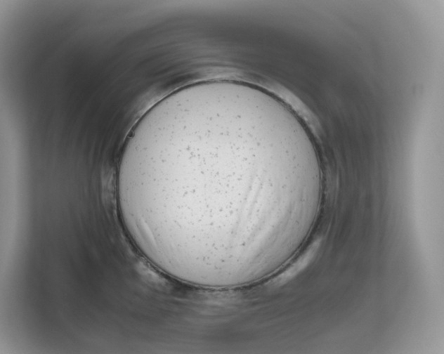 X0000111631001200908071407