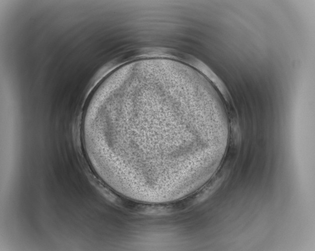 X0000111631002200908071407