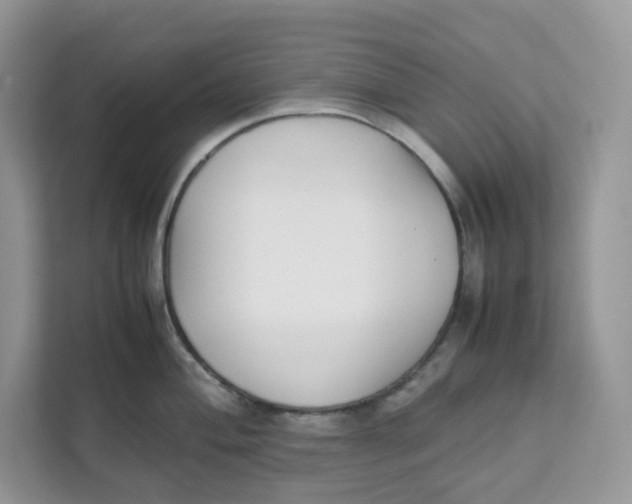 X0000111631004200908071407