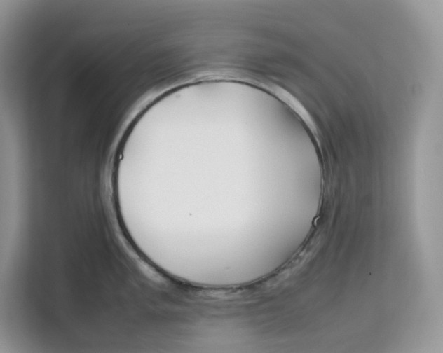 X0000111631005200908071407