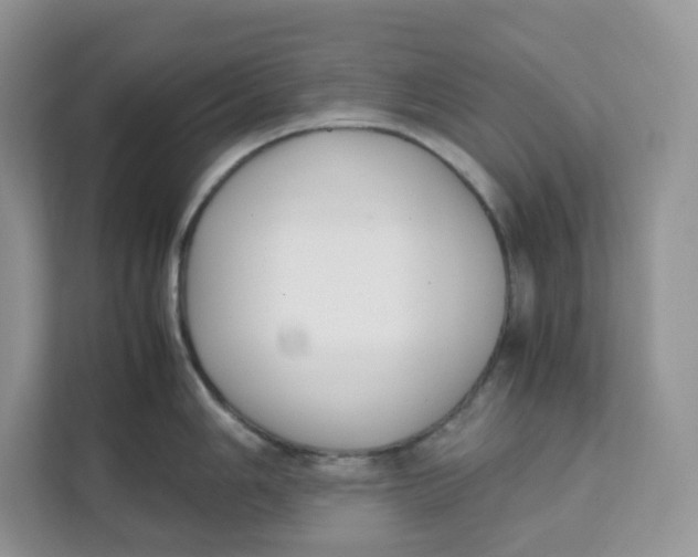 X0000111631006200908071407