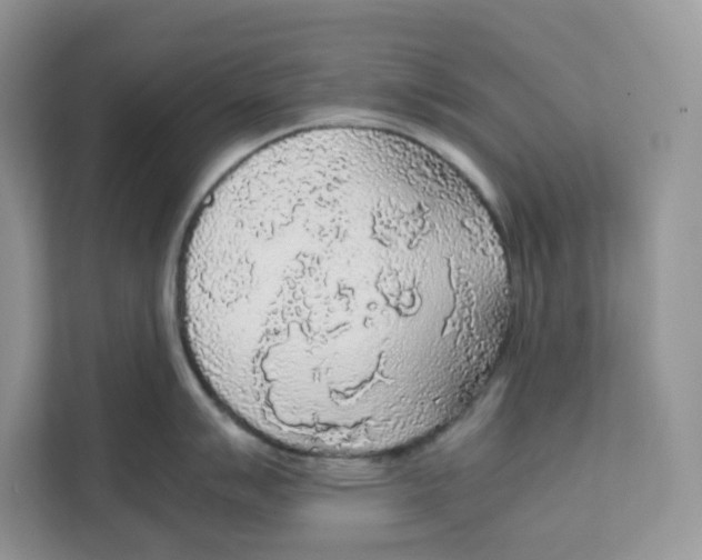 X0000111631007200908071407