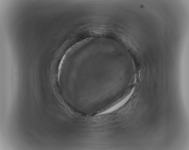 X0000111631009200908071407