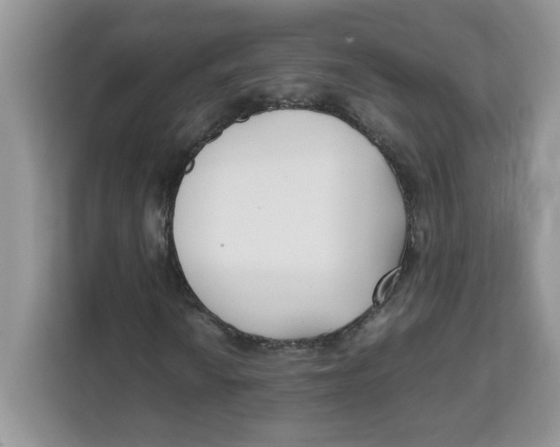 X0000111631010200908071407