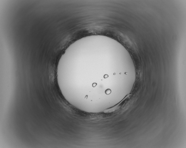 X0000111631012200908071407