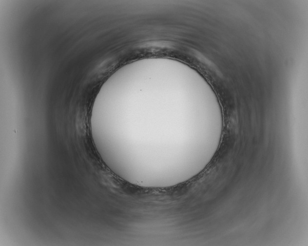 X0000111631014200908071407