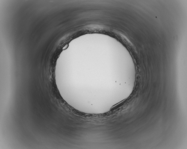 X0000111631016200908071407