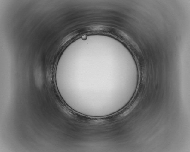 X0000111631017200908071407