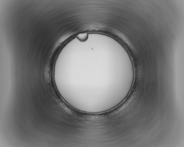 X0000111631018200908071407