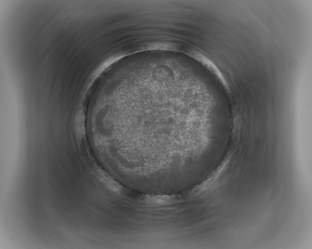 X0000111631019200908071407