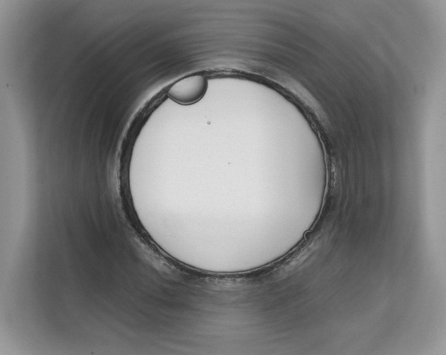 X0000111631020200908071407