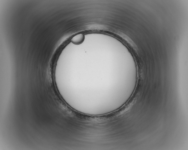 X0000111631022200908071407