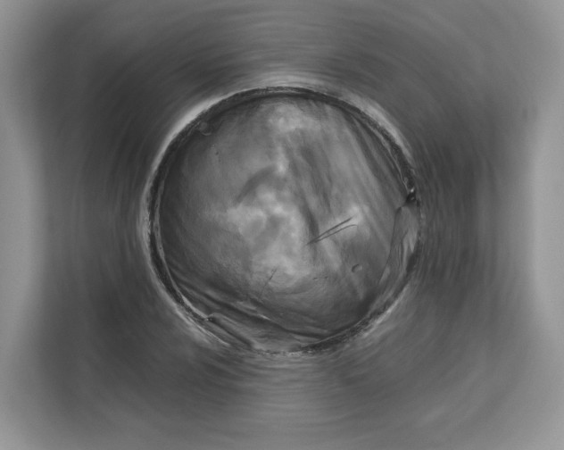 X0000111631024200908071407