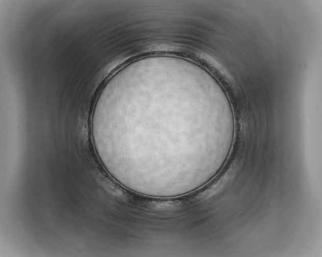 X0000111631025200908071407