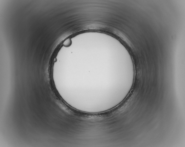 X0000111631026200908071407