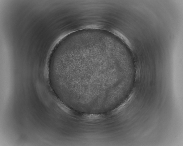 X0000111631027200908071407