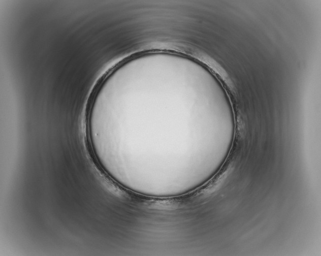 X0000111631028200908071407