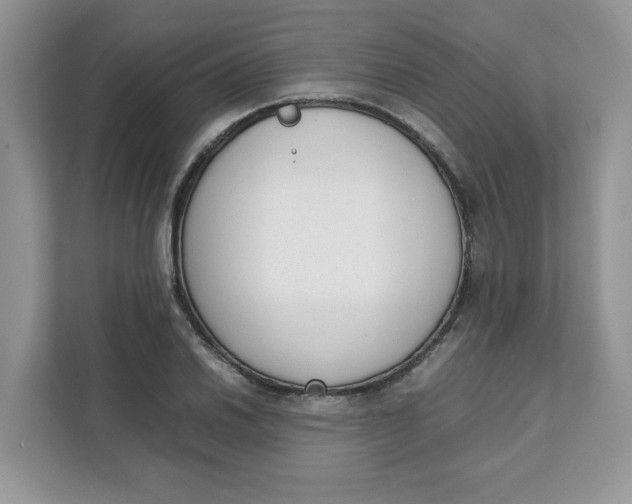 X0000111631030200908071407