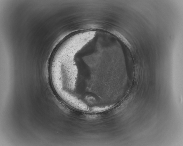 X0000111631031200908071407