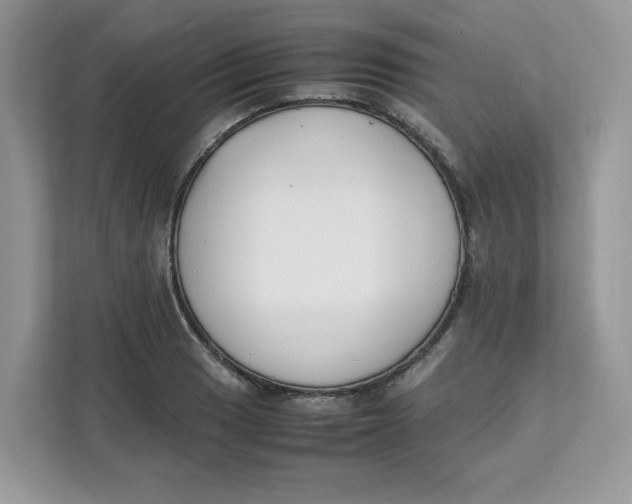 X0000111631033200908071407