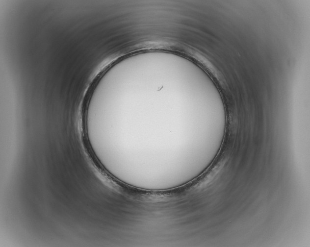 X0000111631034200908071407