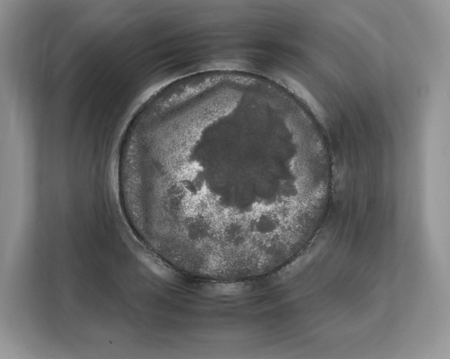 X0000111631035200908071407