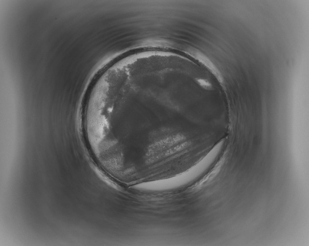 X0000111631037200908071407