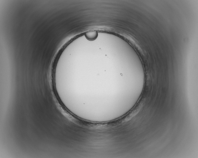 X0000111631038200908071407