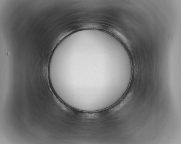 X0000111631041200908071407