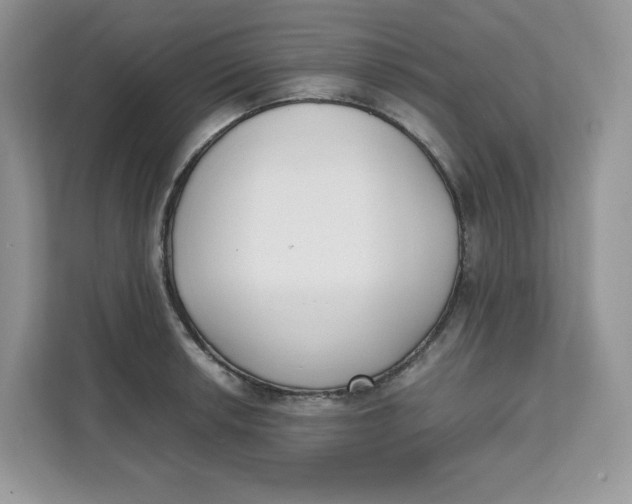 X0000111631042200908071407