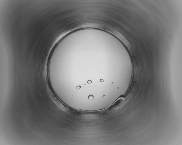 X0000111631044200908071407