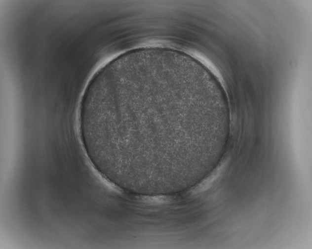 X0000111631045200908071407