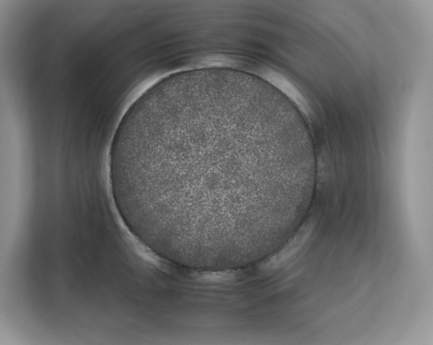 X0000111631047200908071407