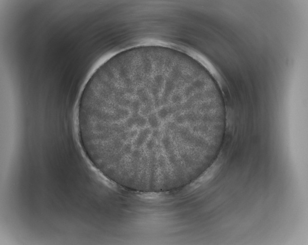 X0000111631048200908071407