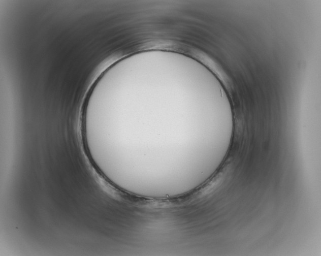 X0000111631050200908071407