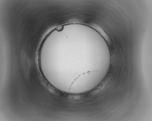 X0000111631051200908071407